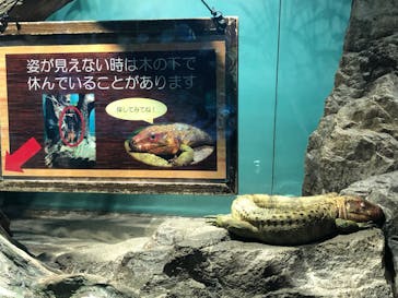 サンシャイン水族館に投稿された画像（2022/10/9）