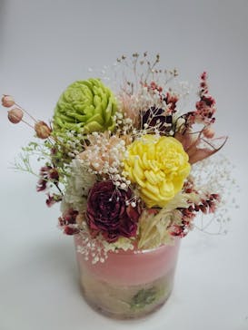 ずこうしつ〜sugamo〜に投稿された画像（2022/10/9）