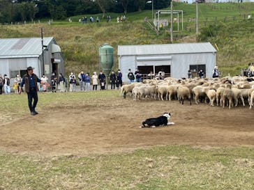 マザー牧場に投稿された画像（2022/10/9）