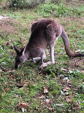 那須どうぶつ王国に投稿された画像（2022/10/9）