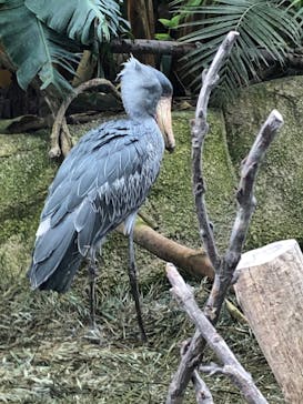 那須どうぶつ王国に投稿された画像（2022/10/9）