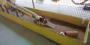 那須サファリパークに投稿された画像（2022/10/9）