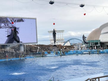 名古屋港水族館に投稿された画像（2022/10/9）