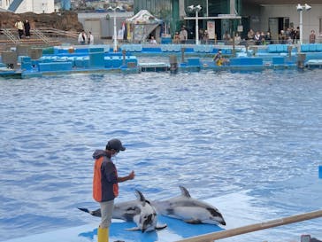名古屋港水族館に投稿された画像（2022/10/9）