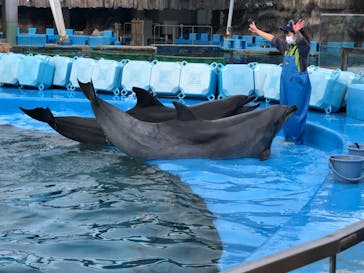 名古屋港水族館に投稿された画像（2022/10/9）
