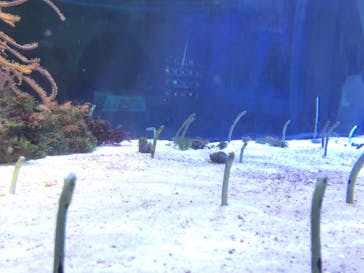 名古屋港水族館に投稿された画像（2022/10/9）