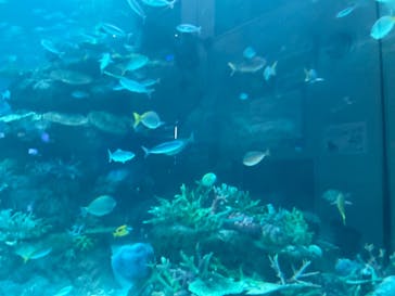 名古屋港水族館に投稿された画像（2022/10/9）