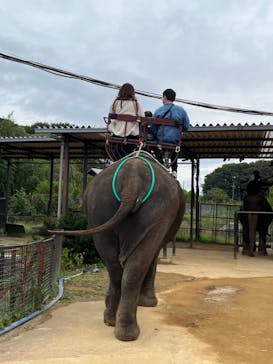 那須ワールドモンキーパークに投稿された画像（2022/10/9）