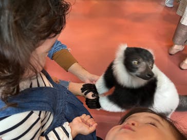 那須ワールドモンキーパークに投稿された画像（2022/10/9）