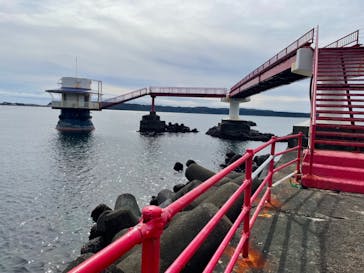 串本海中公園水族館に投稿された画像（2022/10/9）