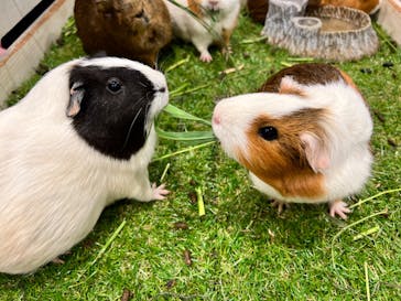 アニタッチみなとみらいに投稿された画像（2022/10/9）