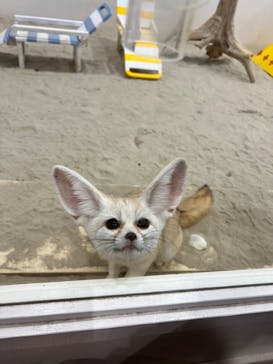 アニタッチみなとみらいに投稿された画像（2022/10/9）