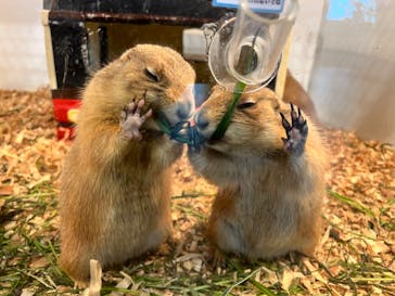 アニタッチみなとみらいに投稿された画像（2022/10/9）