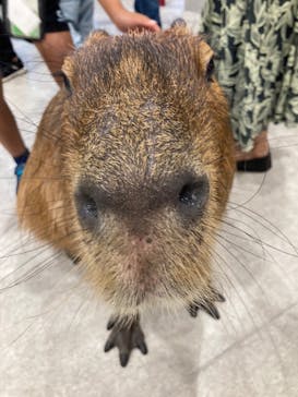 アニタッチみなとみらいに投稿された画像（2022/10/9）