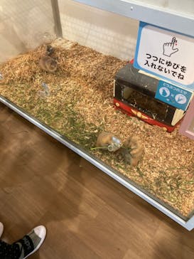 アニタッチみなとみらいに投稿された画像（2022/10/9）