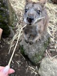 伊豆シャボテン動物公園に投稿された画像（2022/10/9）