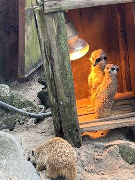 伊豆シャボテン動物公園に投稿された画像（2022/10/9）