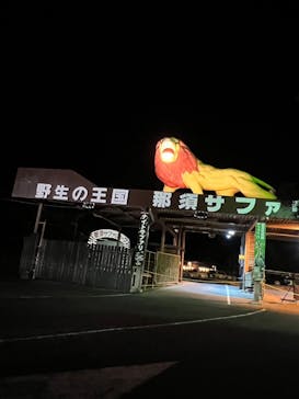那須サファリパークに投稿された画像（2022/10/9）