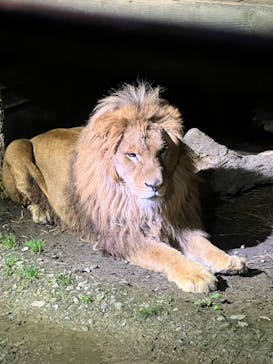 那須サファリパークに投稿された画像（2022/10/9）