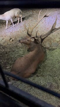 那須サファリパークに投稿された画像（2022/10/9）