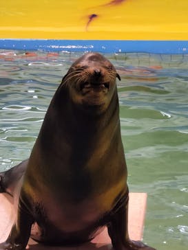 ゼロ距離水族館 伊勢シーパラダイスに投稿された画像（2022/10/9）
