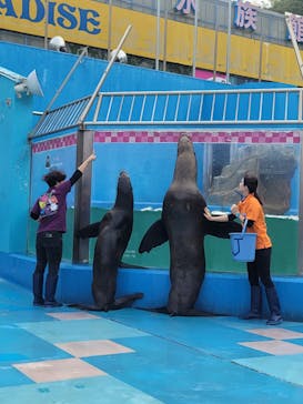 ゼロ距離水族館 伊勢シーパラダイスに投稿された画像（2022/10/9）