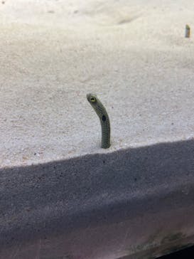 アクアワールド茨城県大洗水族館に投稿された画像（2022/10/9）