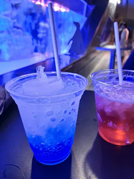 すみだ水族館に投稿された画像（2022/10/9）