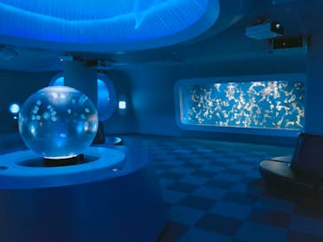 新江ノ島水族館に投稿された画像（2022/10/9）