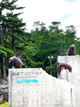 城崎マリンワールドに投稿された画像（2022/10/9）