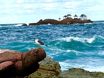 城崎マリンワールドに投稿された画像（2022/10/9）