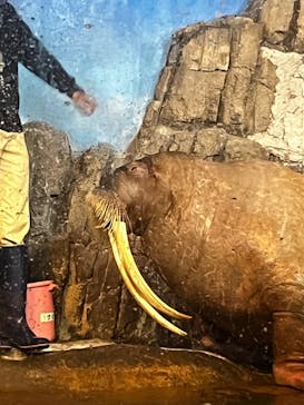 城崎マリンワールドに投稿された画像（2022/10/9）