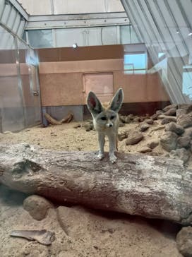 環境水族館アクアマリンふくしまに投稿された画像（2022/10/9）