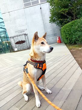 環境水族館アクアマリンふくしまに投稿された画像（2022/10/9）