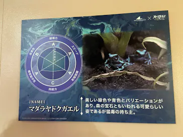 横浜・八景島シーパラダイスに投稿された画像（2022/10/9）