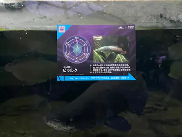 横浜・八景島シーパラダイスに投稿された画像（2022/10/9）