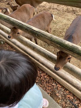 群馬サファリパークに投稿された画像（2022/10/9）