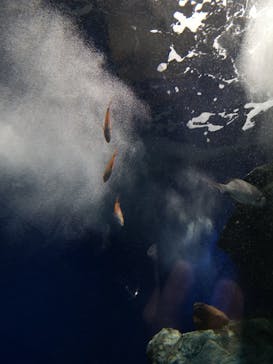 マリンワールド海の中道に投稿された画像（2022/10/10）