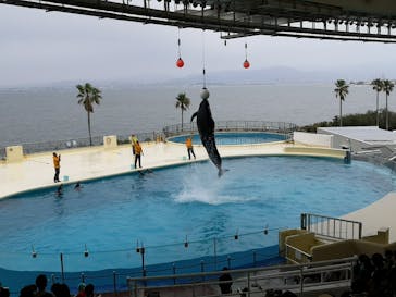 マリンワールド海の中道に投稿された画像（2022/10/10）