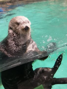 マリンワールド海の中道に投稿された画像（2022/10/10）