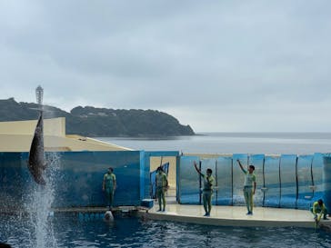 新江ノ島水族館に投稿された画像（2022/10/10）