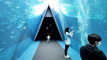環境水族館アクアマリンふくしまに投稿された画像（2022/10/10）