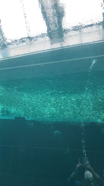 環境水族館アクアマリンふくしまに投稿された画像（2022/10/10）