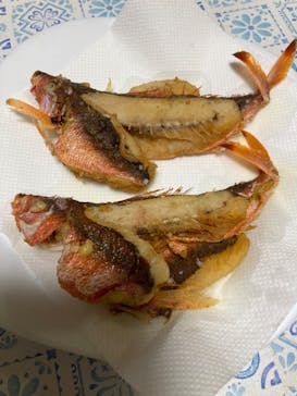 釣り船 りき丸に投稿された画像（2022/10/10）