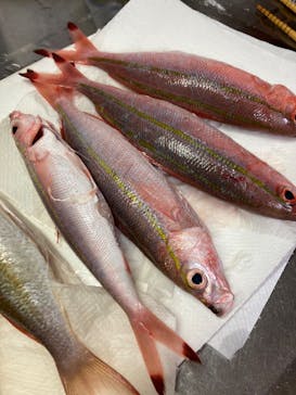 釣り船 りき丸に投稿された画像（2022/10/10）