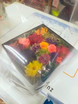 ずこうしつ〜sugamo〜に投稿された画像（2022/10/10）