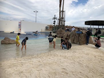 大分マリーンパレス水族館 「うみたまご」に投稿された画像（2022/10/10）