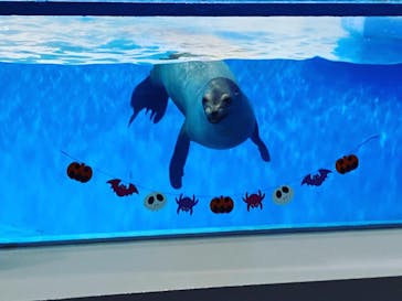 登別マリンパークニクスに投稿された画像（2022/10/10）