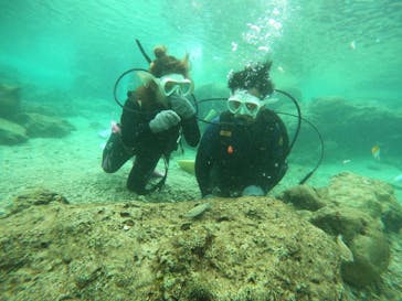 沖縄マリンサービス碧に投稿された画像（2022/10/10）