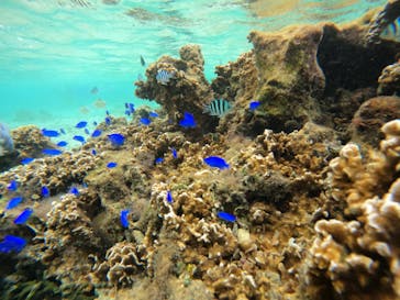 沖縄マリンサービス碧に投稿された画像（2022/10/10）